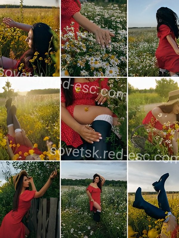 Вероника — Советск